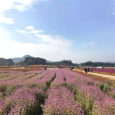 山筒嵩|大台南 私房景點 & 私房小吃 papAGo 